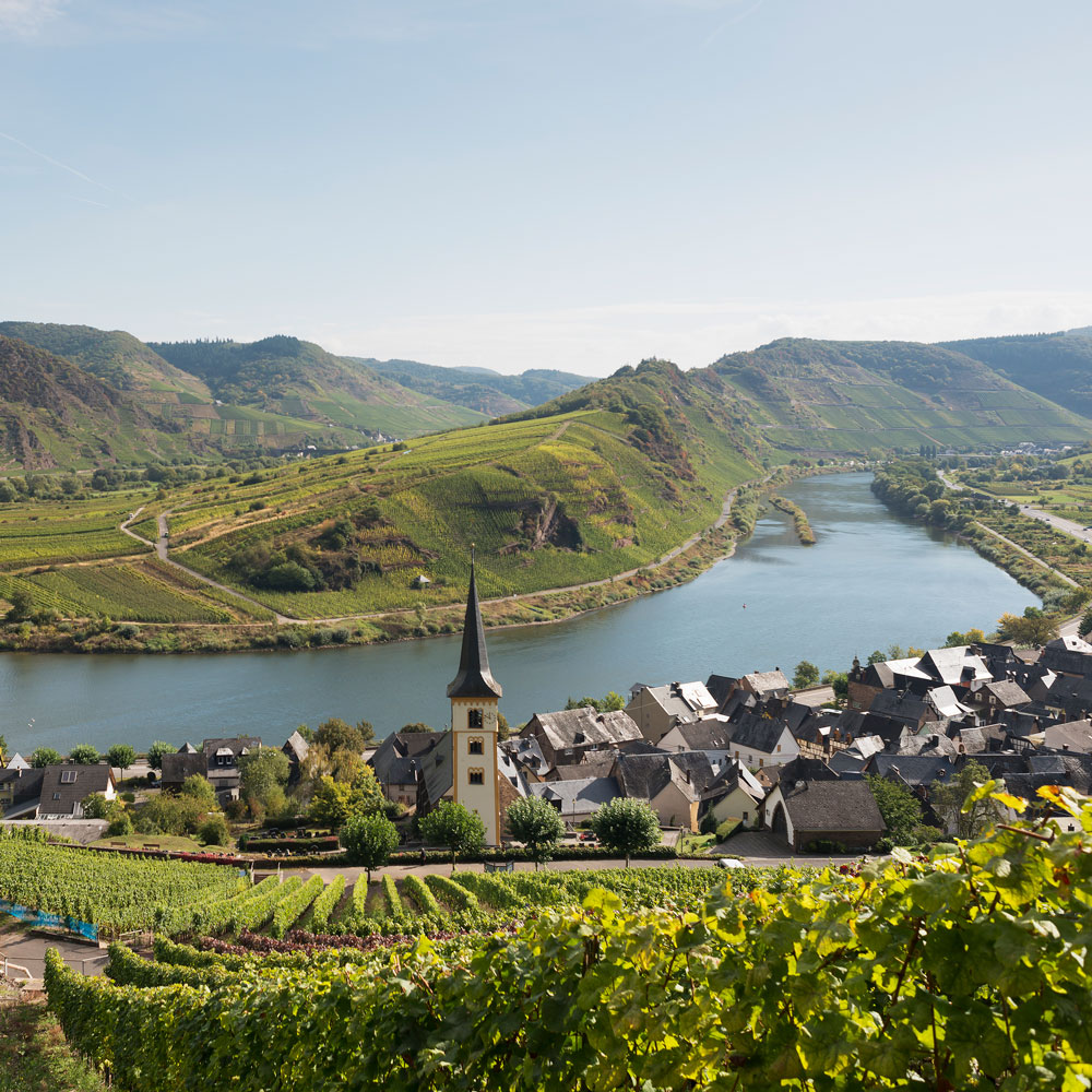 Mosel